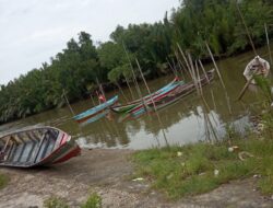 Pemerintah Tetapkan Aturan Baru pada Penyelenggaraan Bidang Kelautan dan Perikanan, Ini Kelebihannya