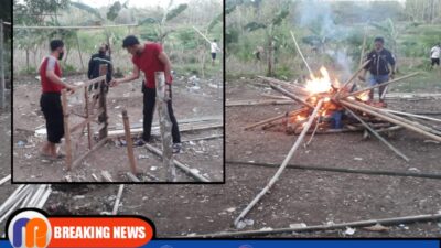 Polisi Gerebek Arena Sabung Ayam di Ketapang, Penjudi Lari Berhamburan