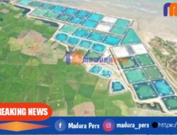 Begini Prosedur Perizinan Pembuangan Limbah Tambak Udang di Sumenep