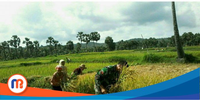 DKPP Kabupaten Sumenep