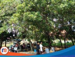 RTH di Bangkalan Hanya 17,63 Persen dari Luas Kota