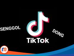 Senggol Dong, Bahasa Gaul yang tak Kalah Viralnya di Media Sosial