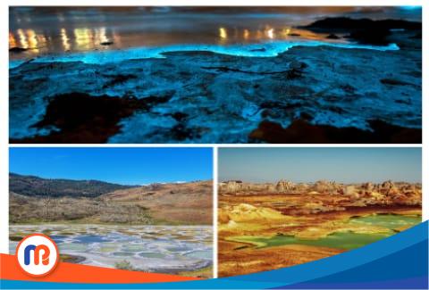 Depresi Danakil, potted Lake, dan Teluk Jervis yang ajaib dan aneh