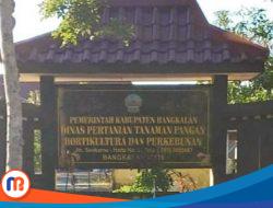 Data Beras di Bangkalan Jelas, Stoknya Aman Sampai Februari