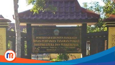Dinas Pertanian Tanam Pangan Holtikultura dan Perkebunan Kabupaten Bangkalan