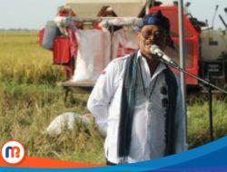 Panen Raya Padi di Banten, Mentan: Ketersediaan Beras Aman