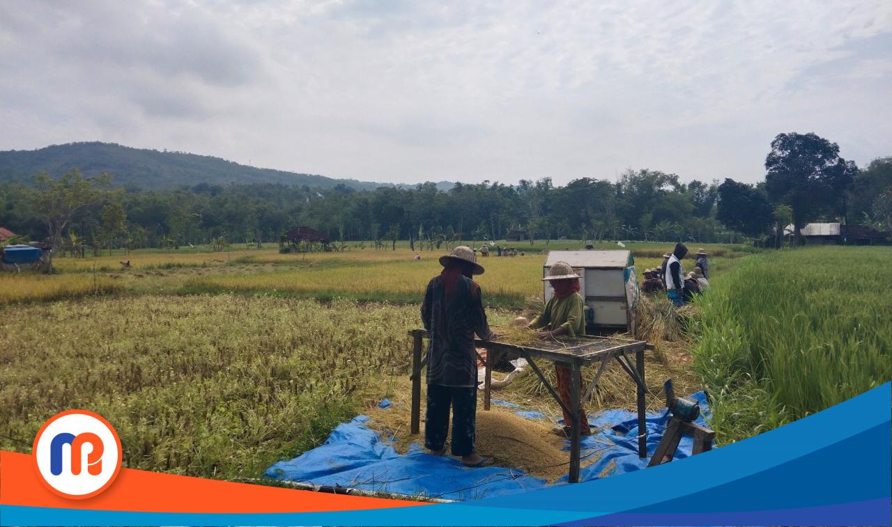 Dinas Ketahanan Pangan dan Pertanian (DKPP) Kabupaten Sumenep mengimbau agar petani setempat ikut bergabung dan mendaftarkan diri dalam Poktan