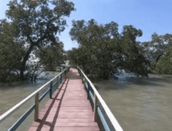 Labuhan Mangrove Education Park: Destinasi Wisata Edukatif di Sepulu, Bangkalan