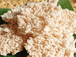 Rengginang, Makanan Tradisional Lezat yang Mudah Dibuat