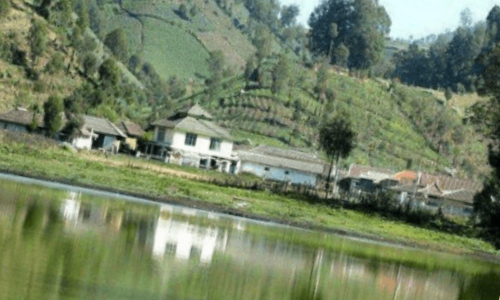 Desa Wisata Ranu Pani, Kecamatan Senduro, Kabupaten Lumajang, menjadi destinasi unggulan bagi para wisatawan yang mencari keindahan alam yang luar biasa