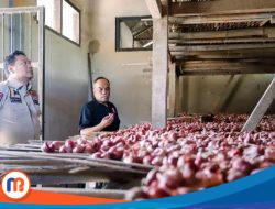 Tingkatkan Daya Saing, Bawang Merah Sumenep Menuju Sertifikasi Indikasi Geografis