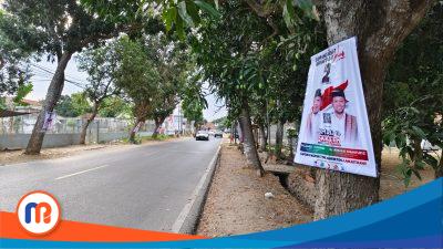 Alat Peraga Kampanyr (APK) Pasangan Calon (Paslon) Jimad Sakteh terlihat dipaku di pohon disepanjan jalan raya Banyuates-Ketapang yang diduga kuat melanggar aturan kampanye