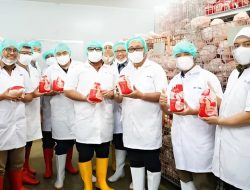 ID FOOD Dorong Kemajuan Petani dan Peternak Lokal Lewat Program MBG