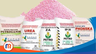 Distributor Pupuk Subsidi di Sampang Imbau Kios Jual Sesuai HET