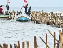 DPR Desak Pembentukan Pansus untuk Usut Kontroversi Pagar Laut di Tangerang