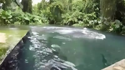 Pemandian Sumber Pocong: Objek Wisata Tersembunyi dengan Nuansa Mistis