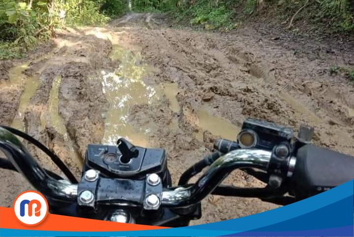 Potret Jalan Penghubung Desa Sawah Sumur, Kecamatan Arjasa dengan Desa Cengkramaan, Tembayangan hingga Batuputih terlihat rusak parah