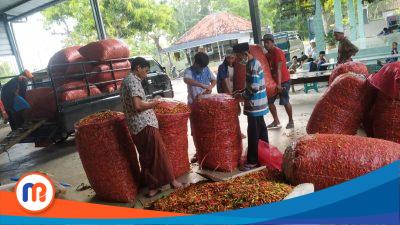 Harga Cabai Rawit di Dusun Dunggeddung Timur Mengalami Fluktuasi, Petani Harap Harga Sayur Ikut Naik