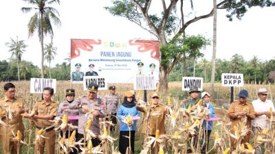 Panen raya bersama petani di Desa Ellak Daya, Kecamatan Lenteng