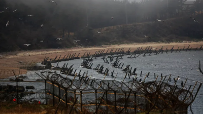 Paku anti pendaratan yang dipasang oleh militer Korea Selatan terlihat saat air surut di pantai Pulau Baengnyeong yang terletak di sisi Korea Selatan dari Garis Batas Utara (NLL) di Laut Kuning, seperti yang terlihat pada tahun 2014.