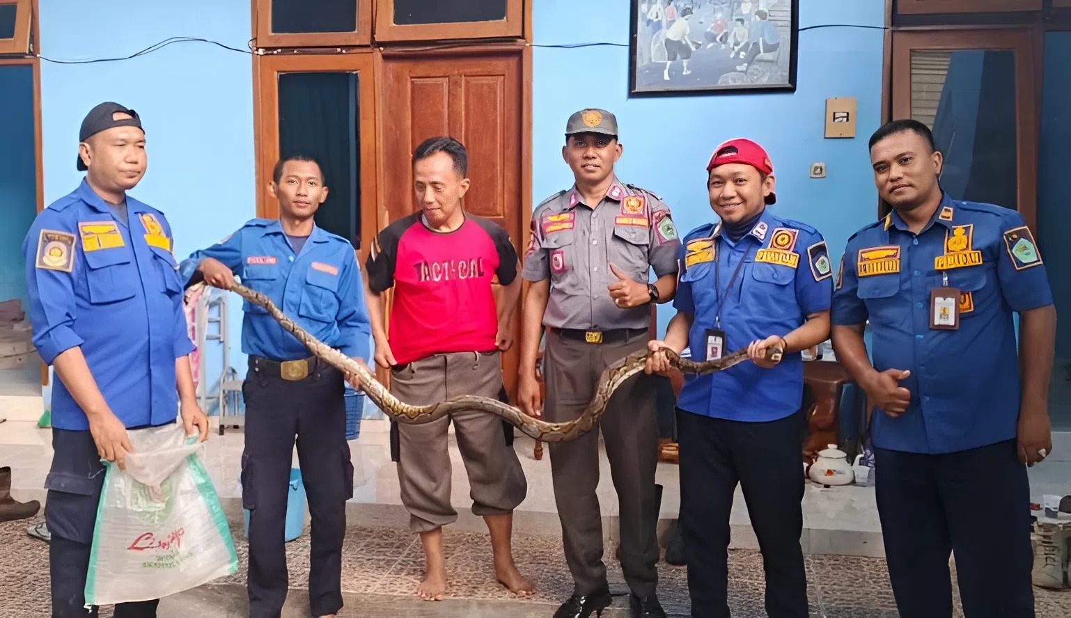 Petugas Damkar Kabupaten Pamekasan berhasil menangkap seekor ular sanca, sepanjang tiga meter, di saluran air kamar mandi milik warga di Kelurahan Lawangan Daya, Kecamatan Pademawu, Kabupaten Pamekasan.