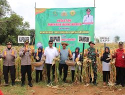 DKPP Sumenep Gandeng TNI-Polri dan Desa Demi Swasembada Pangan