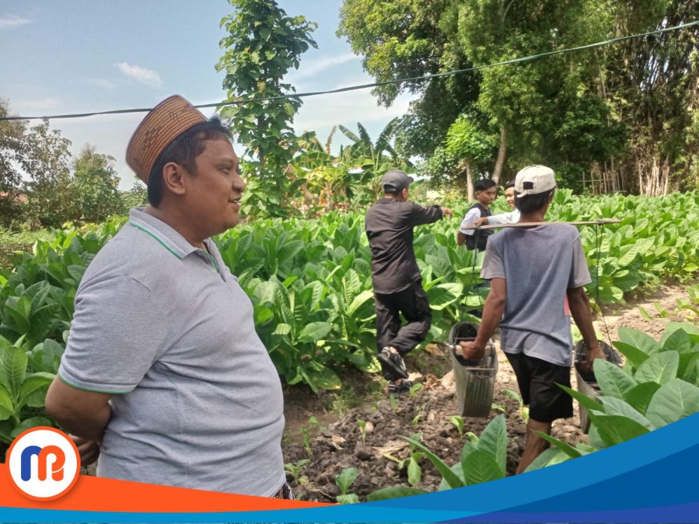 H. Her Turun langsung menyapa petani tembakau dan melihat kualitas tembakau yang ditanam